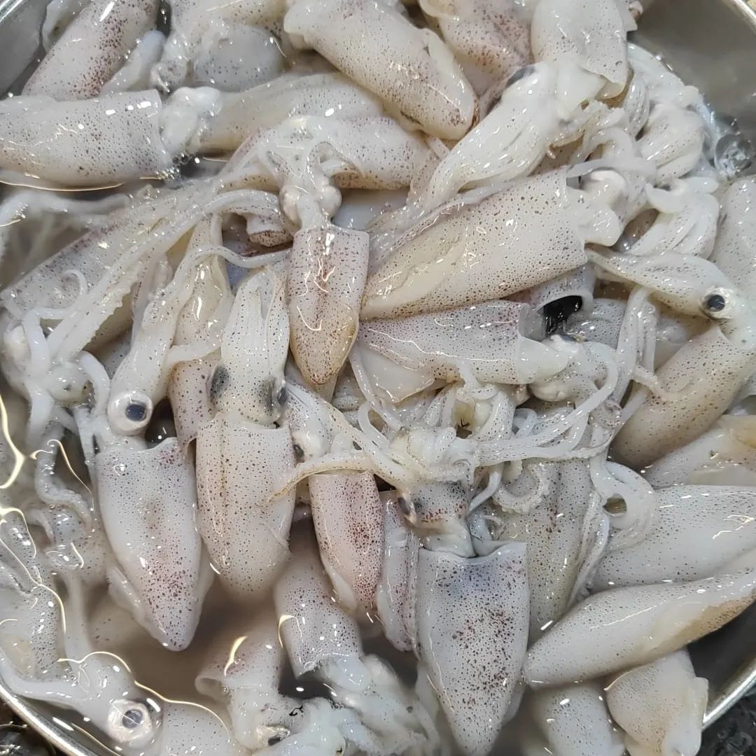 FRESH BABY SQUID