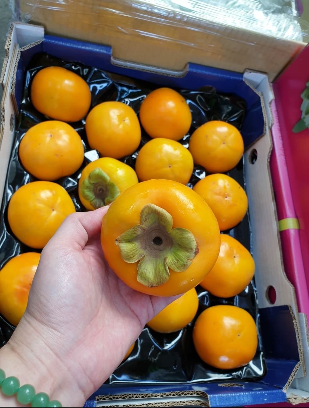 ♥️Aust Sweet Persimmon (2pcs/set)