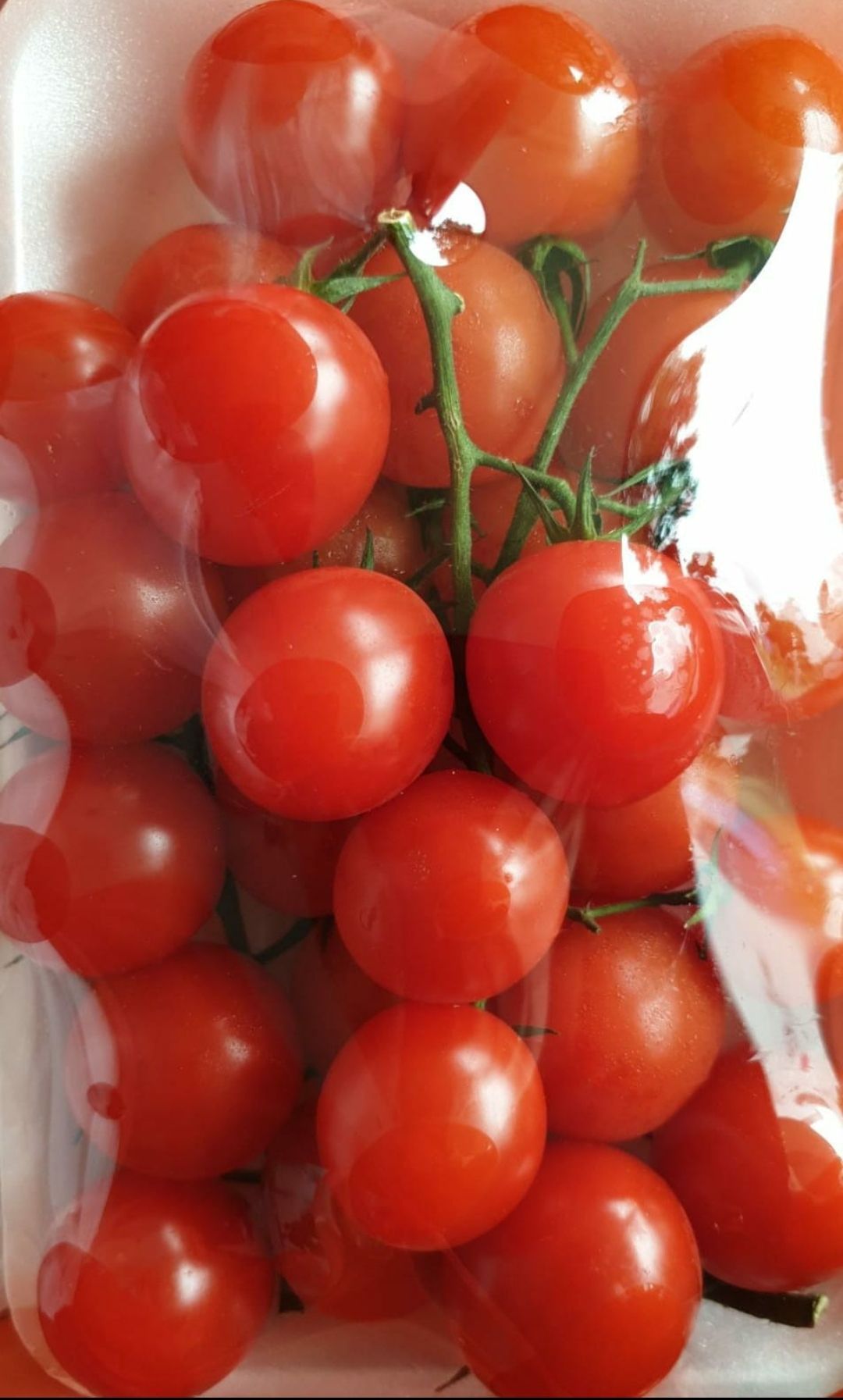 🍅Holland Cherry Tomato (600g)