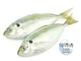 Kunning Fish/  黄鱼