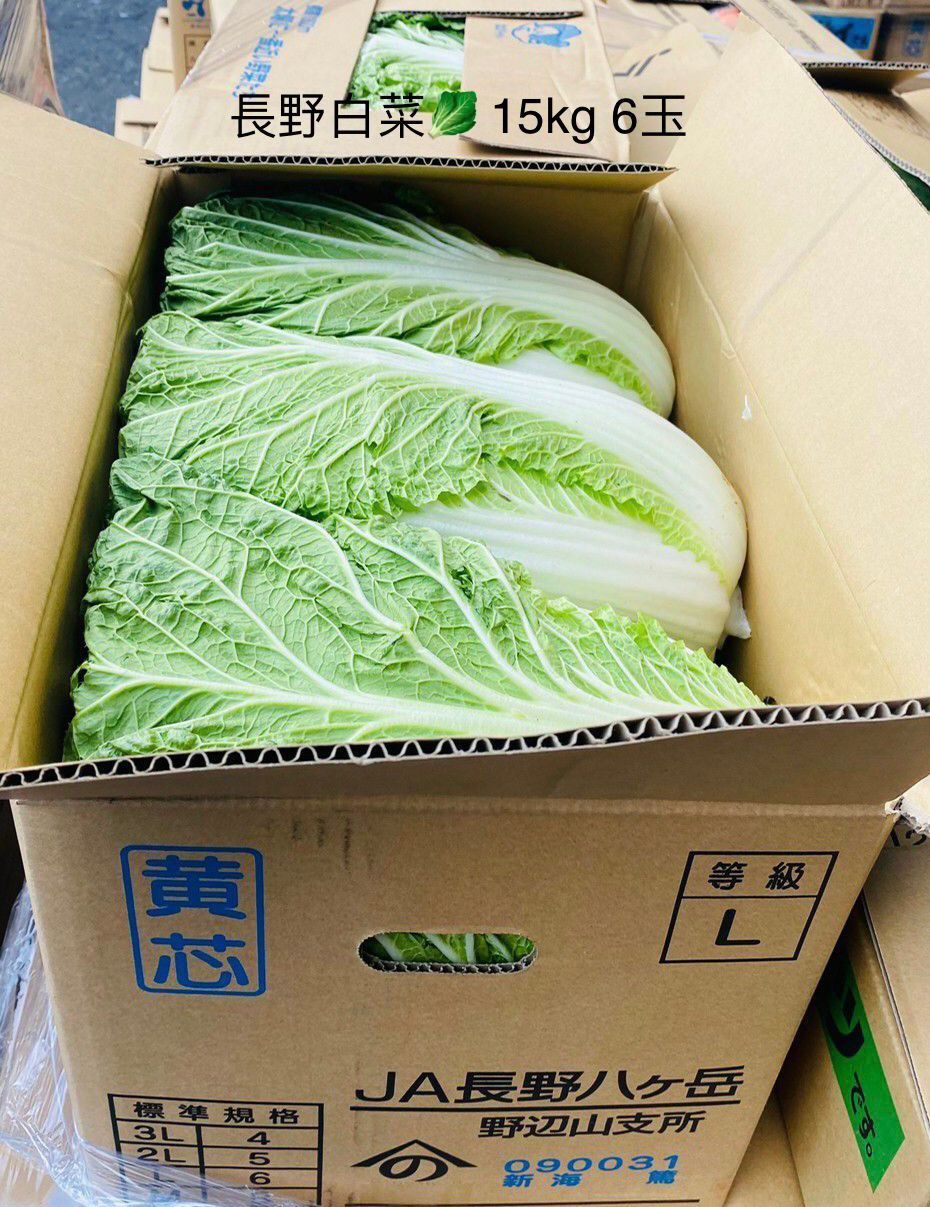 長野白菜🥬 15kg 6玉 Nagano Chinese Cabbage🥬 15kg 6pcs - Superfood
