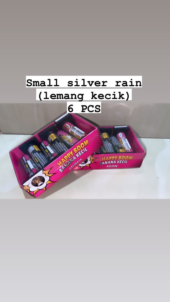 Small silver rain_0