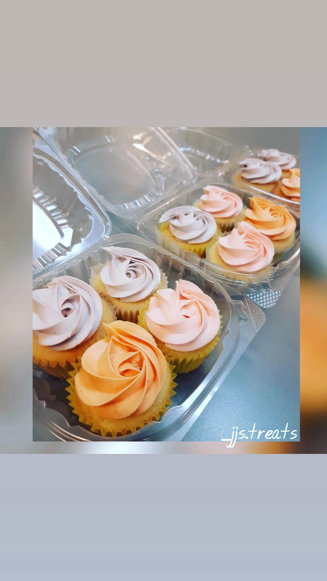 6 Vanilla Cupcakes_0