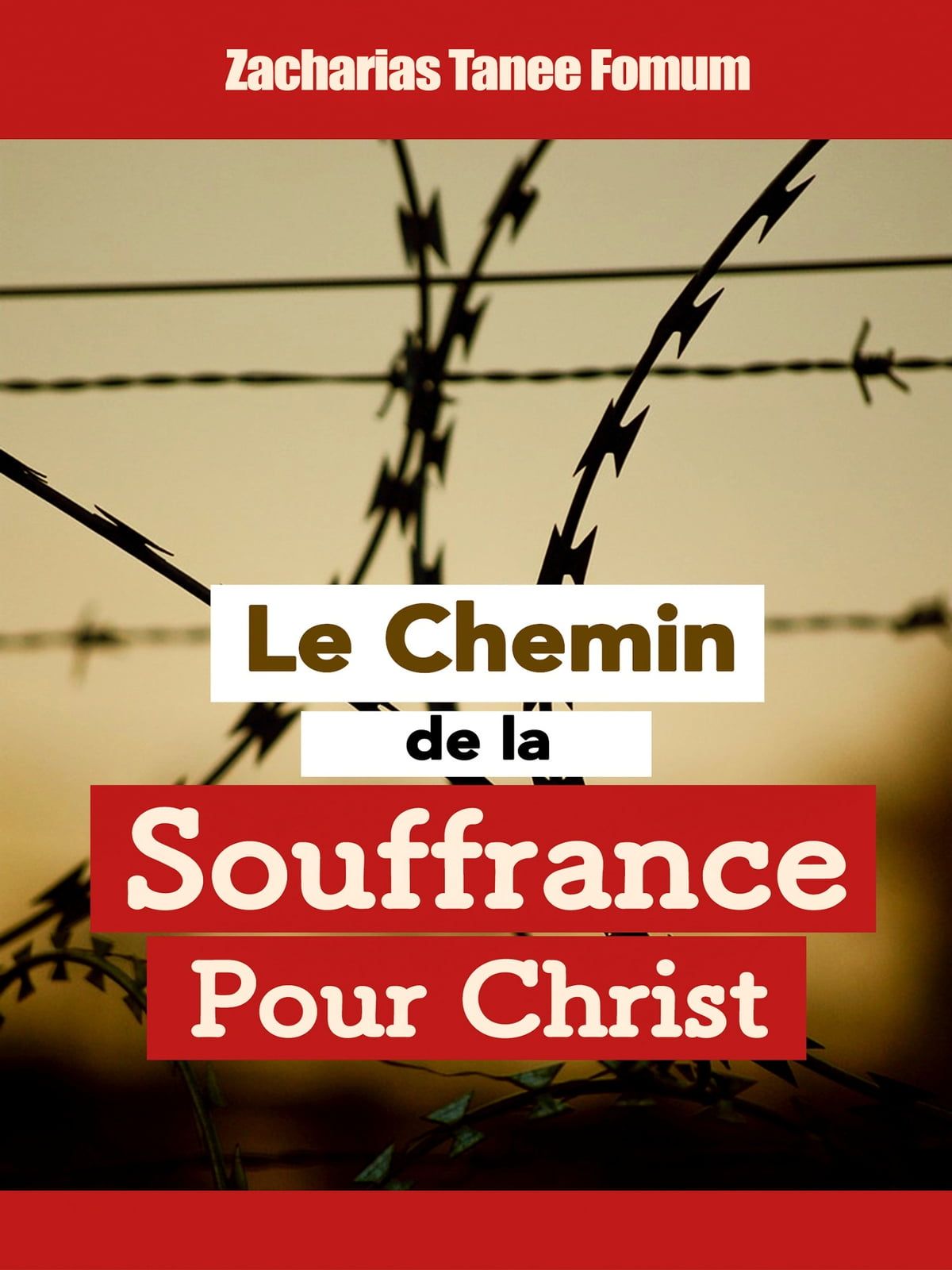 Le Chemin de la Souffrance pour Christ _0