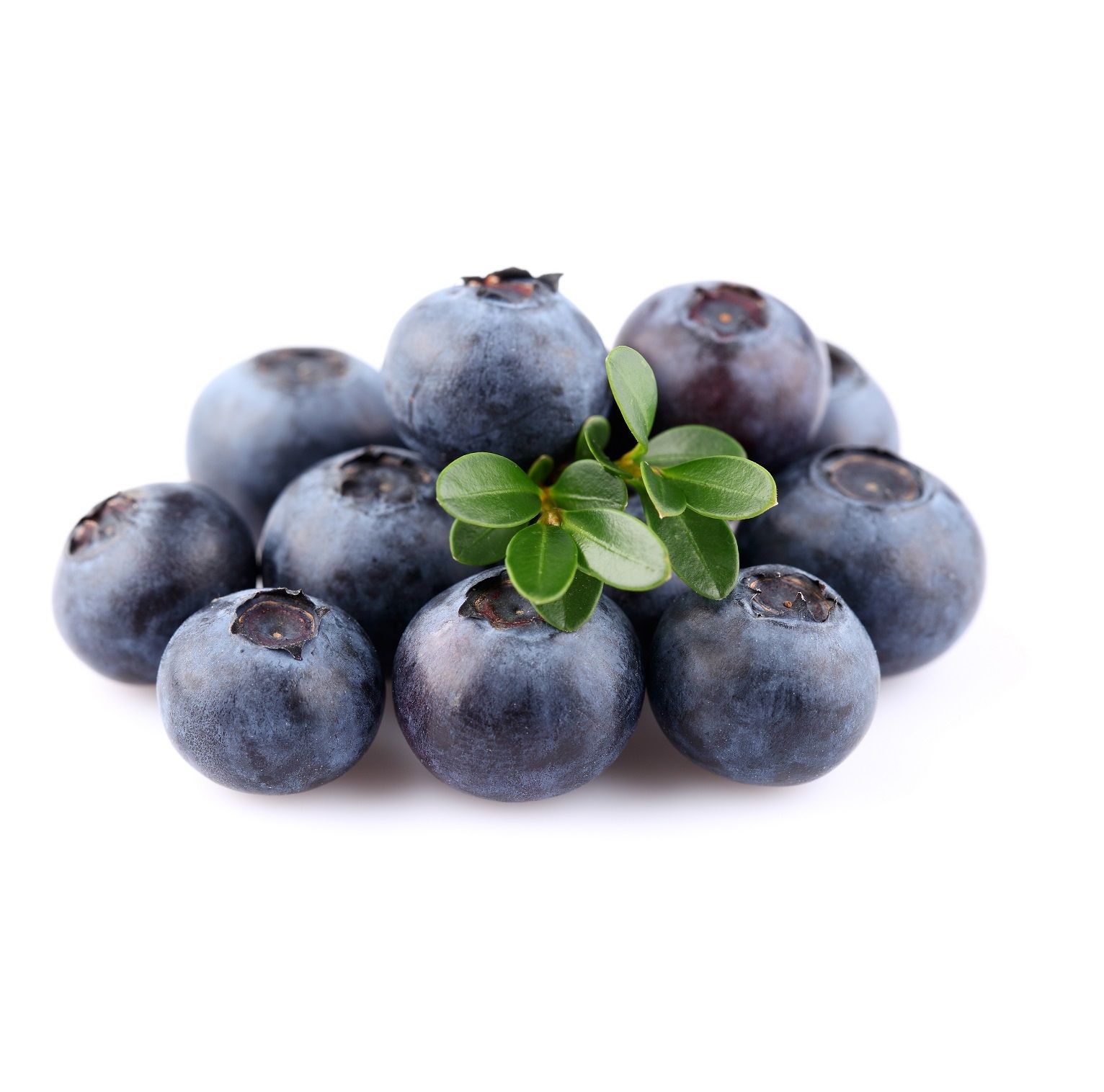 African Blueberries _0