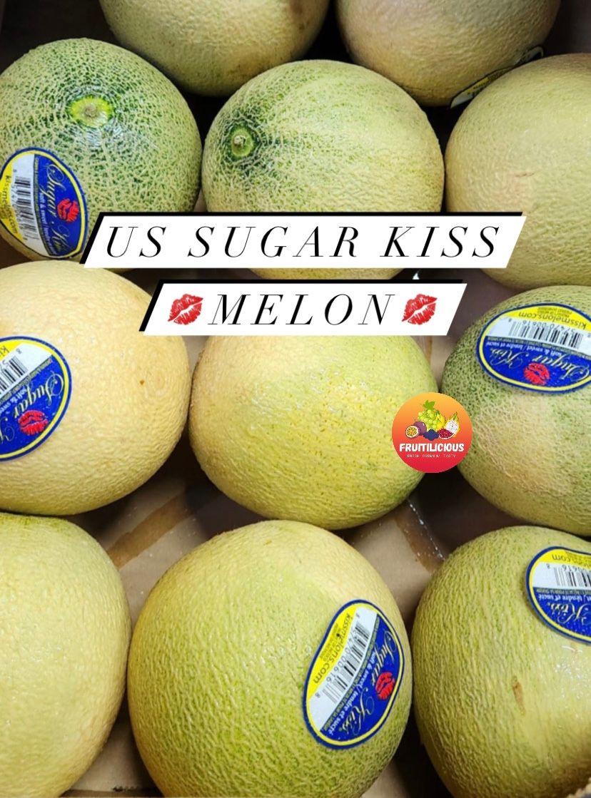 US SUGAR KISS MELON (S)_0