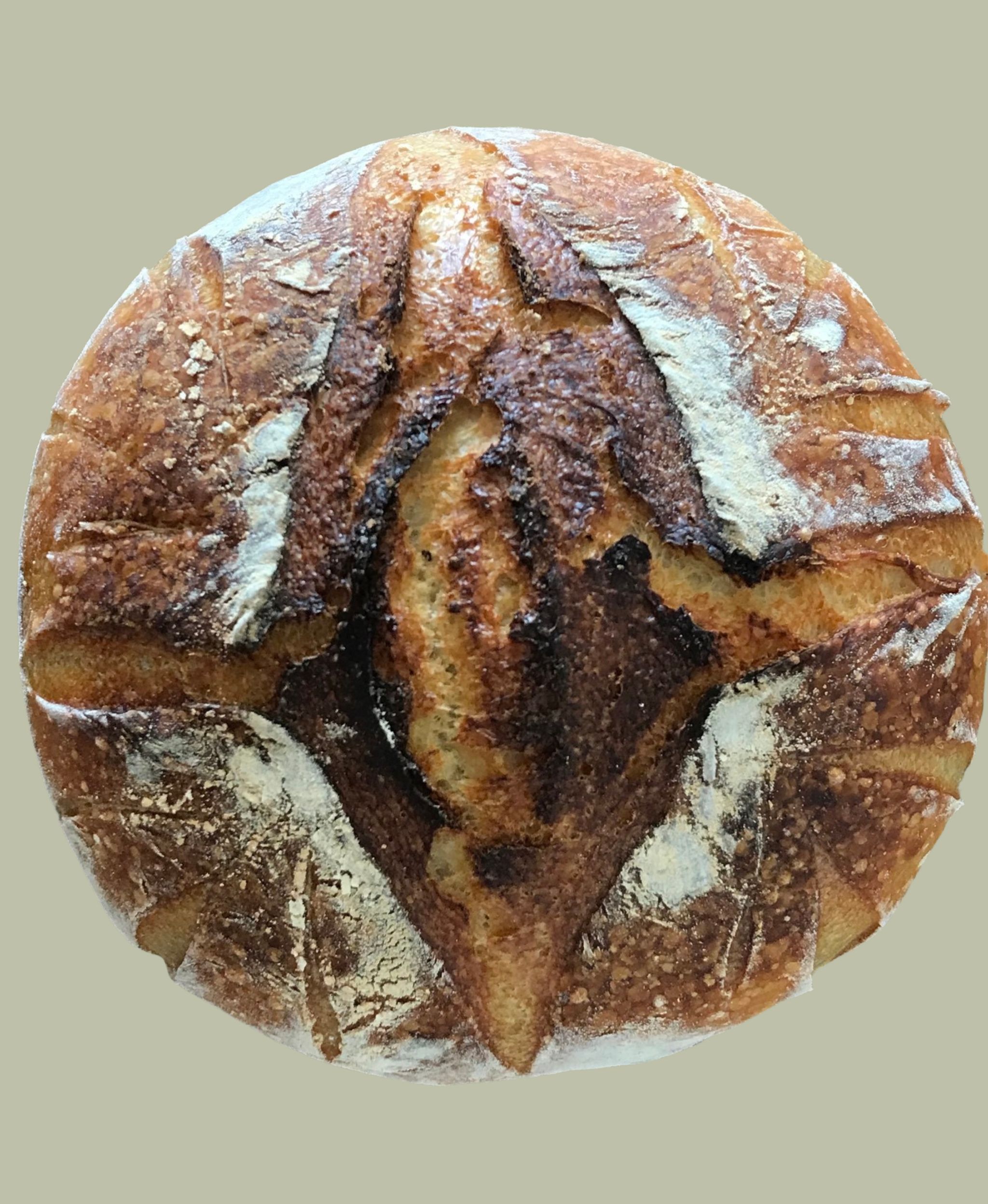 White sourdough _0