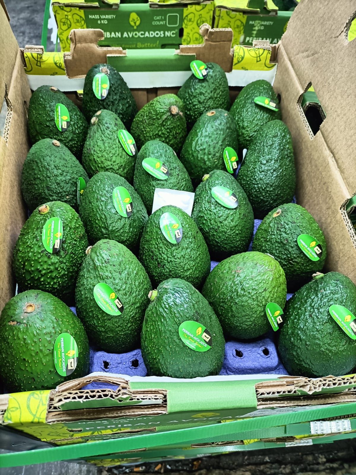 MEX Premium jumbo Hass Avocado _0