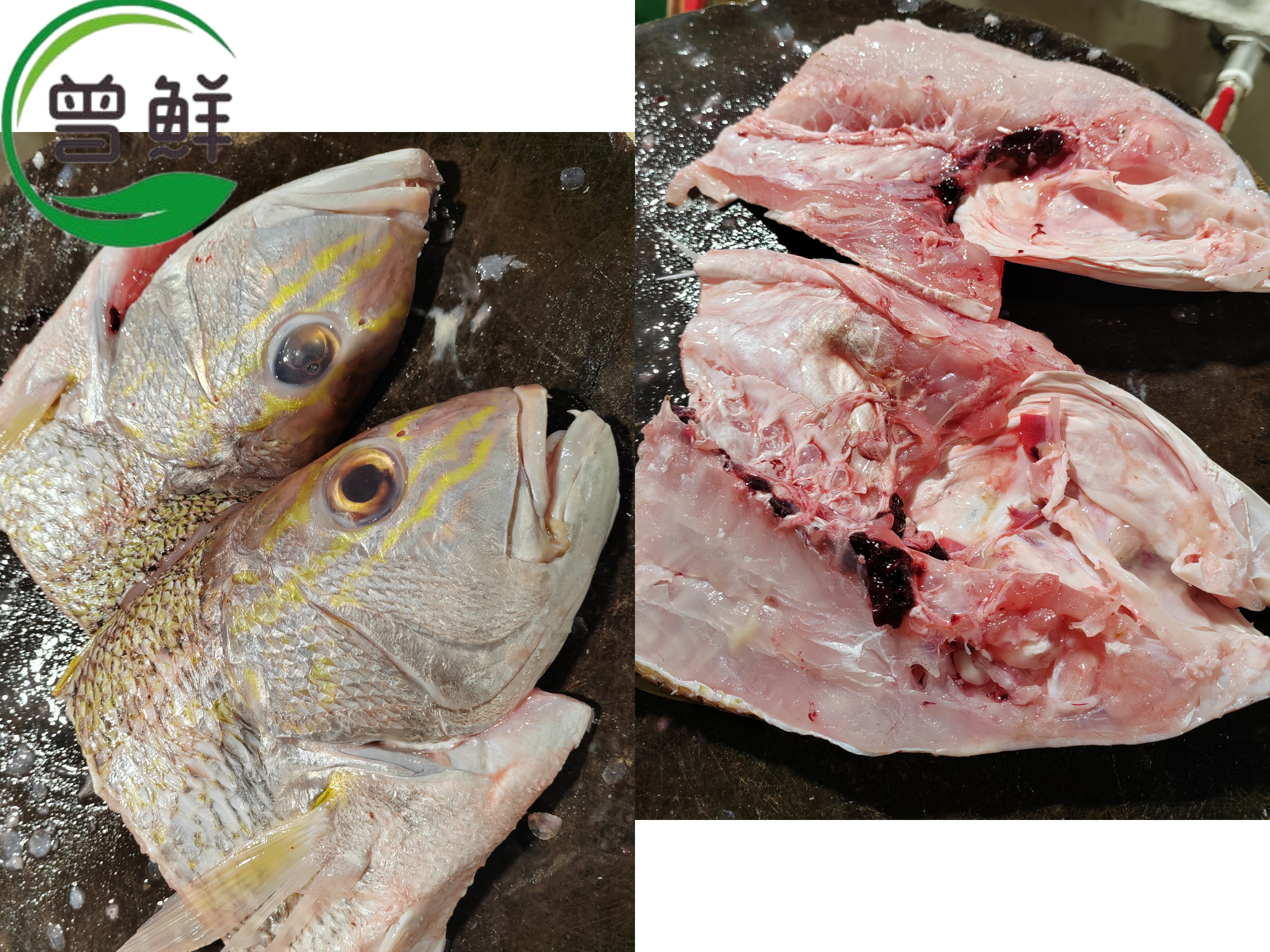 哥里鱼头两片 Snapper Fish Head（2pcs）_3