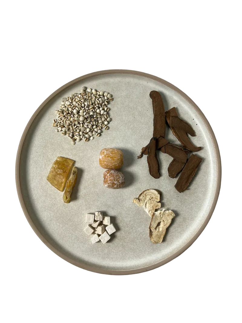 靈芝白術炒薏米去濕鰵魚膠湯 _2