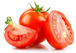 tomat sayur _0