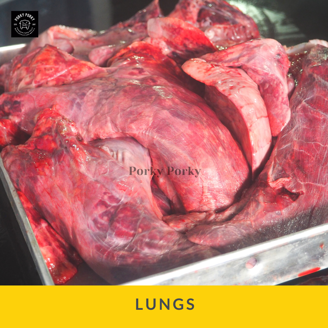 Lungs / Paru – paru _0