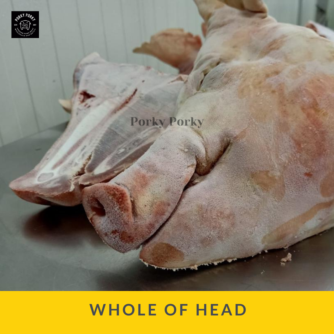 Whole of Head / Kepala utuh_0