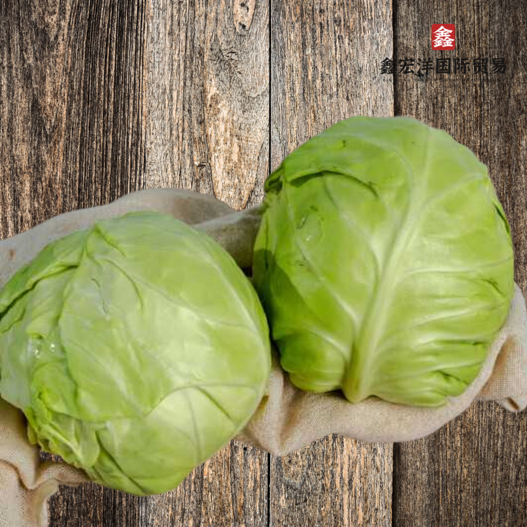 Beijing Cabbage 北京包菜 500g_0