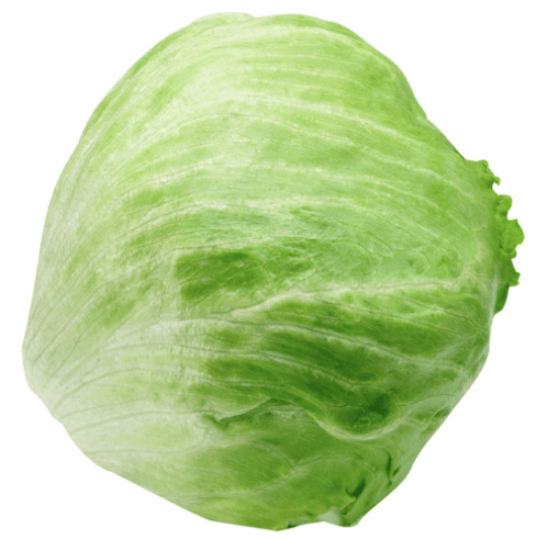 Iceberg Lettuce_0