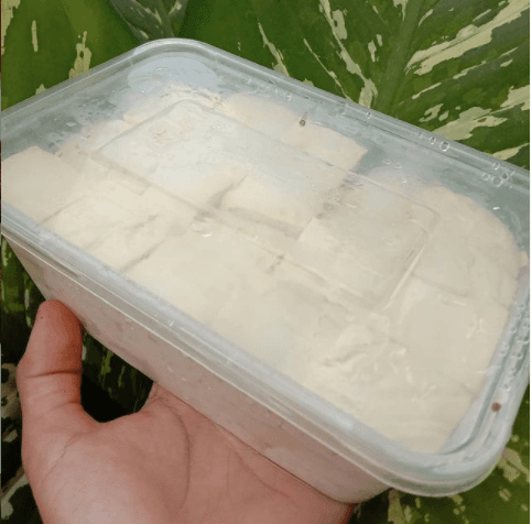 Tahu Susu_0