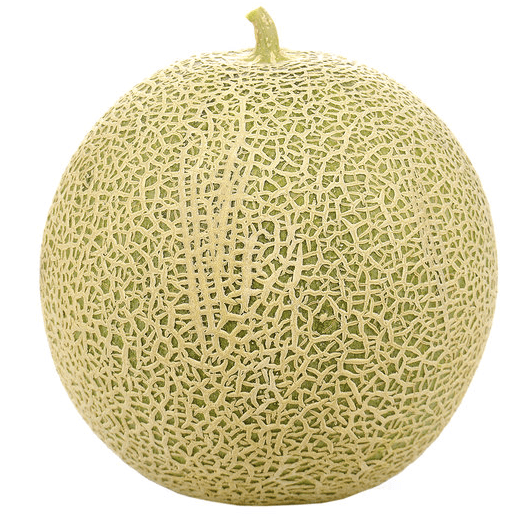 Melon_0