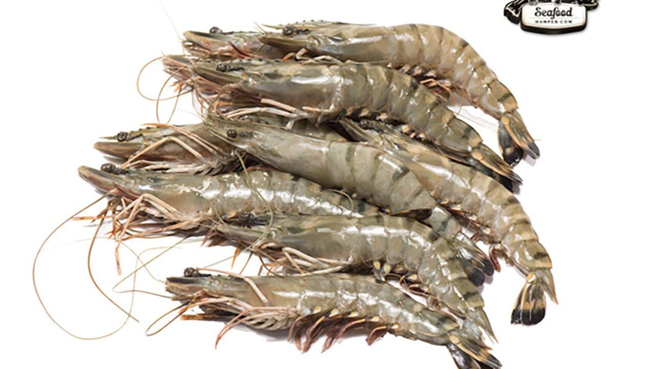 Tiger Prawn, size M, Whole / 500 gr_0