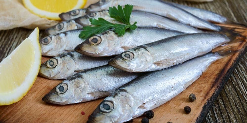 Salem / Ikan Sarden / 500 gr_0