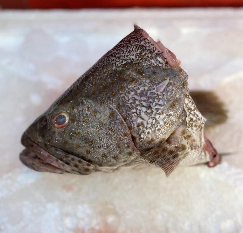 Kerapu Head & Bone Set_0