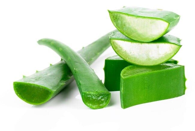 Lidah Buaya (Aloe Vera) / 500 gr_0