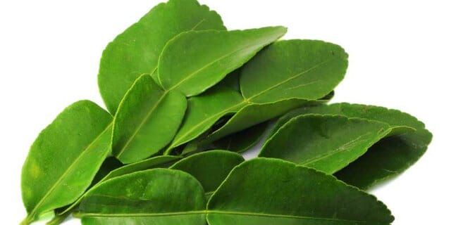 Daun Jeruk Purut / 100 gr_0