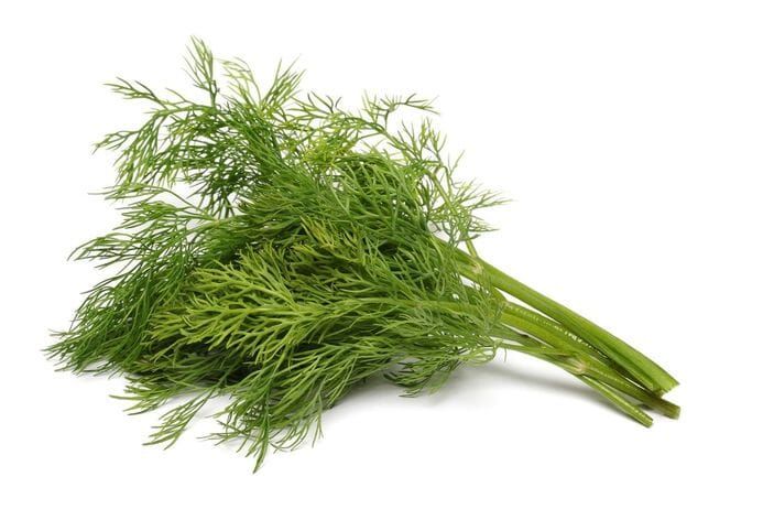 Dill / 100 gr_0