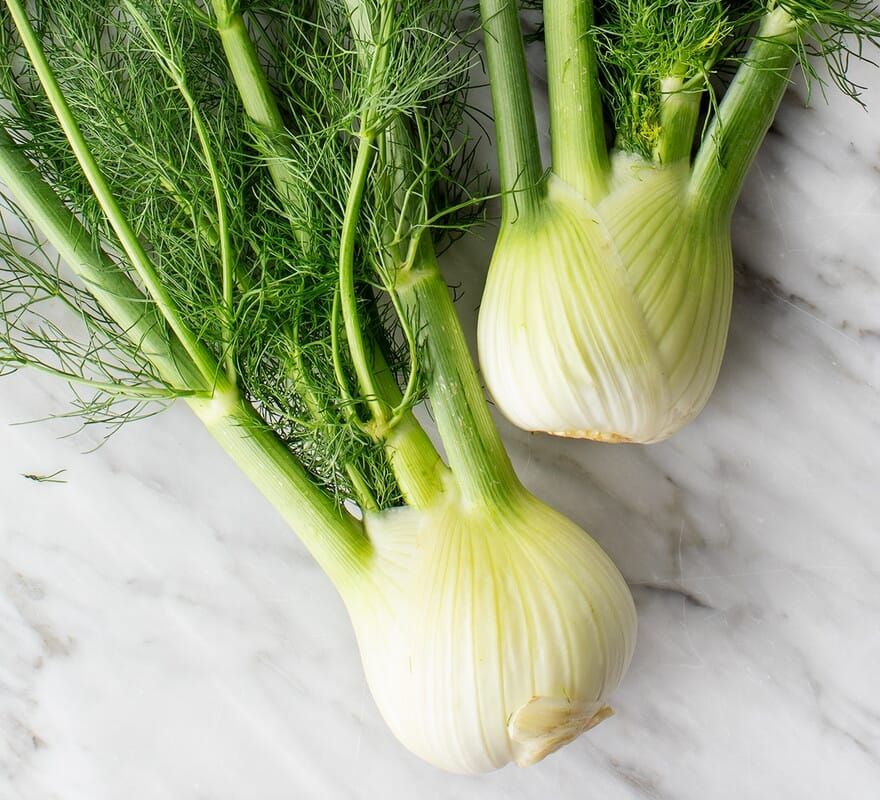 Fennel / 100 gr_0