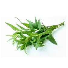 Tarragon Fresh / 250 gr_0