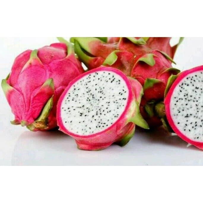 Buah Naga Putih / 500 gr_0