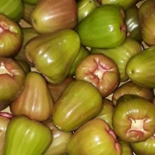 Jambu Cincalo / 500 gr_0