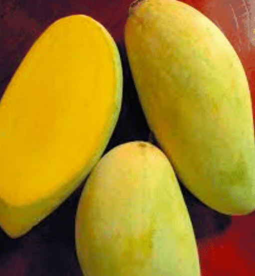 Mangga Kiojay / 500 gr_0