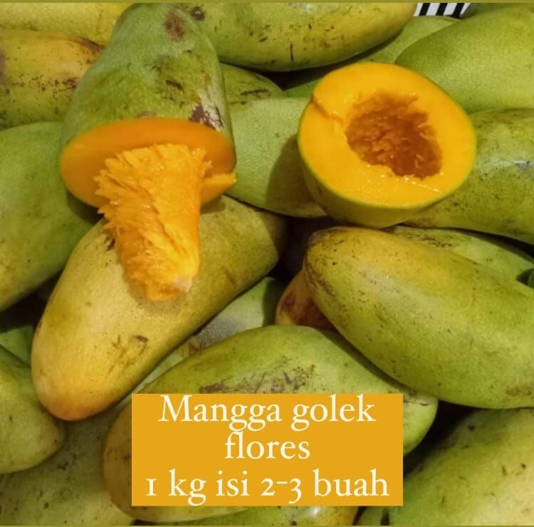 Mangga Golek Flores / 500 gr_0