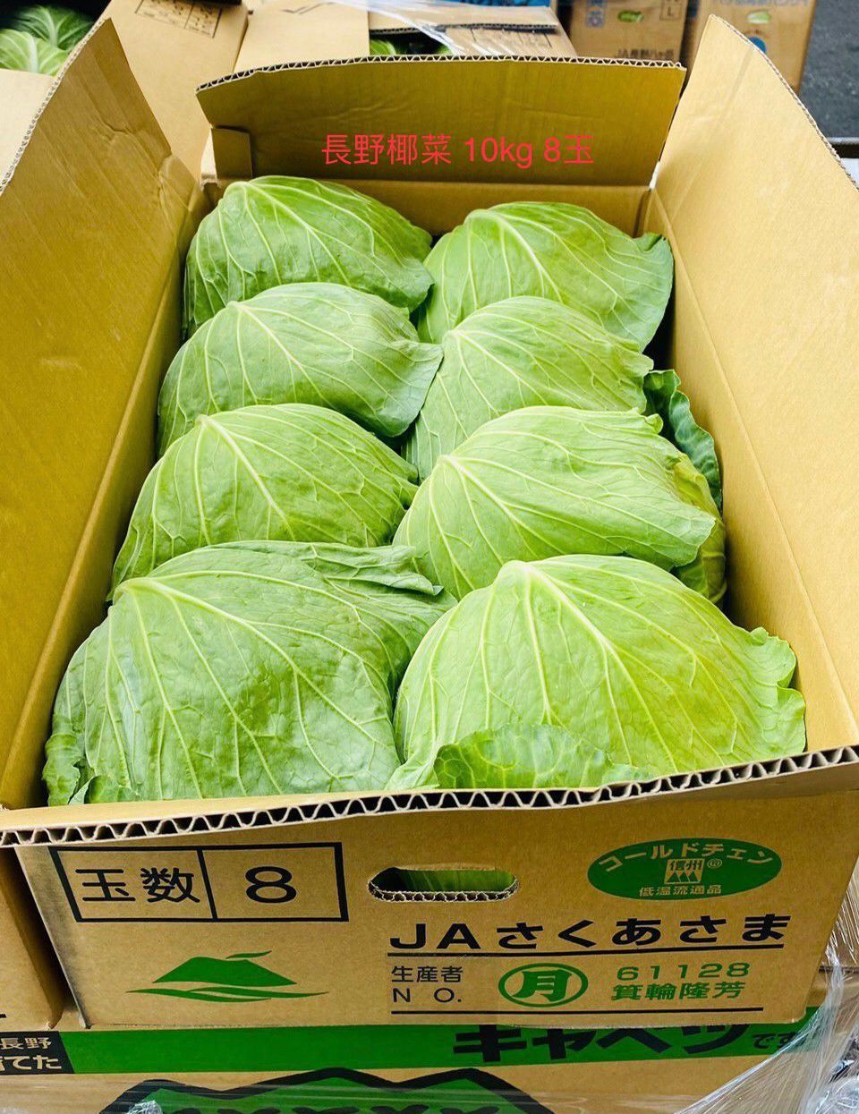 長野椰菜 10kg 8玉 Nagano Cabbage🥬 10kg 8pcs - Superfood.green