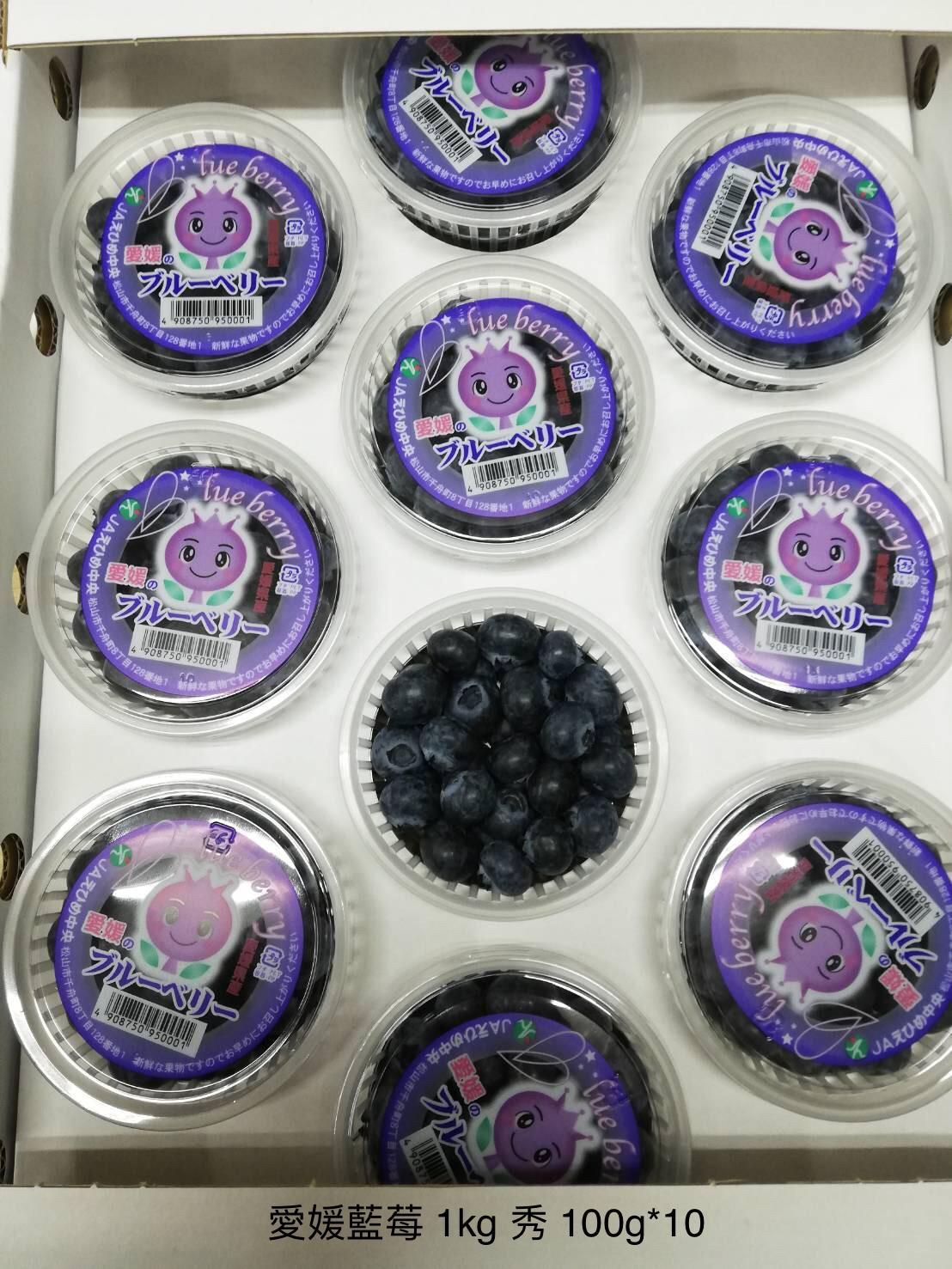 愛媛/高知藍莓🫐 1kg 100g*10 Ehime / Kochi Blueberry 🫐 1kg 100g*10_0