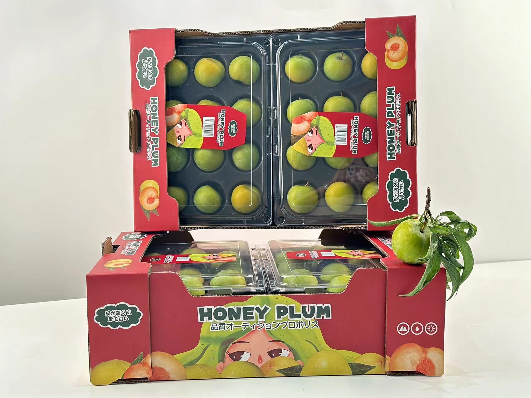 贵州蜂糖李子 Gui Zhou Honey Plum 4 in 1_1