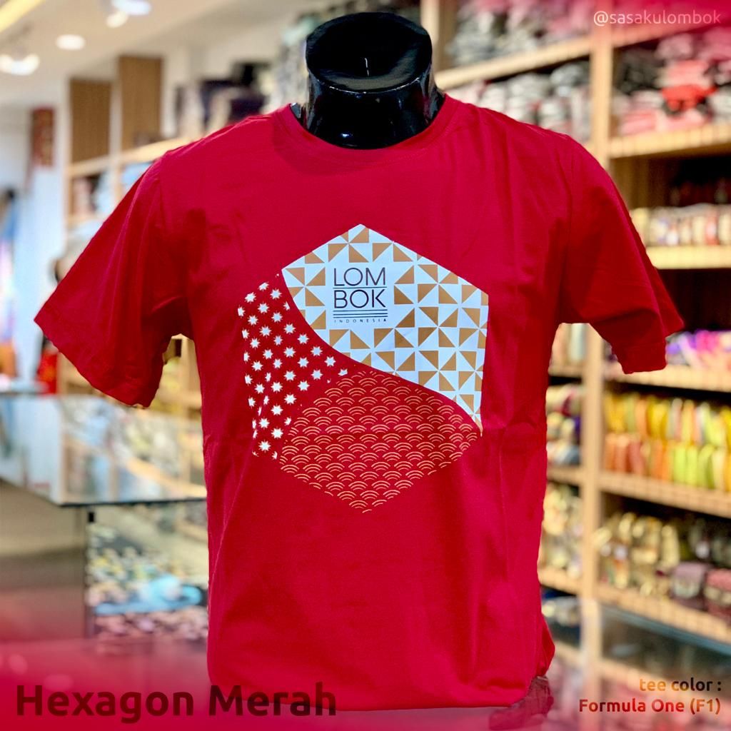 HEXAGON MERAH_0