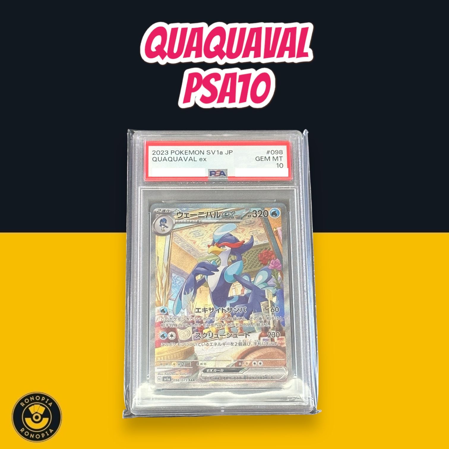 Quaquaval SAR PSA 10_0