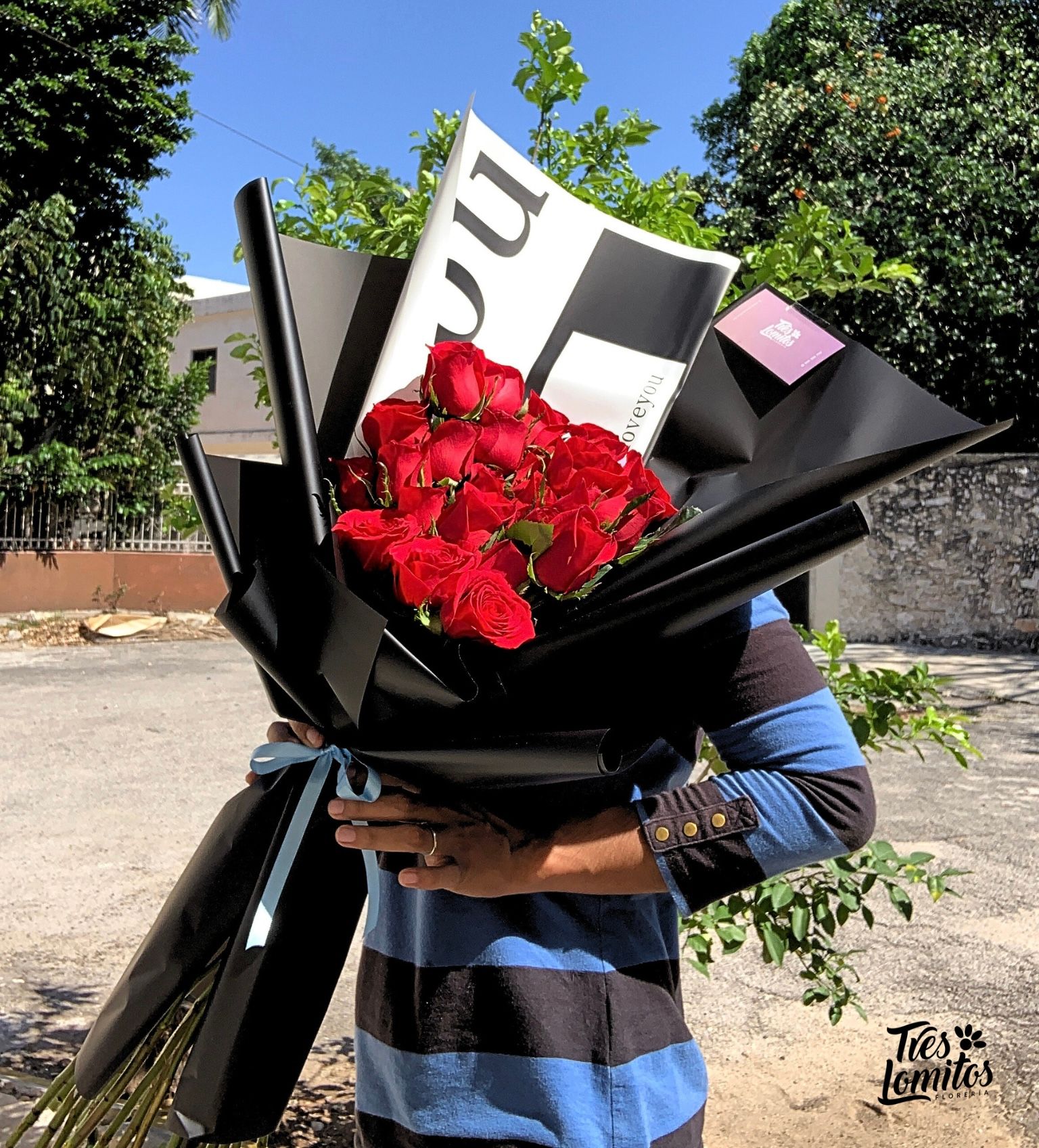 25 Rosas & papers _0