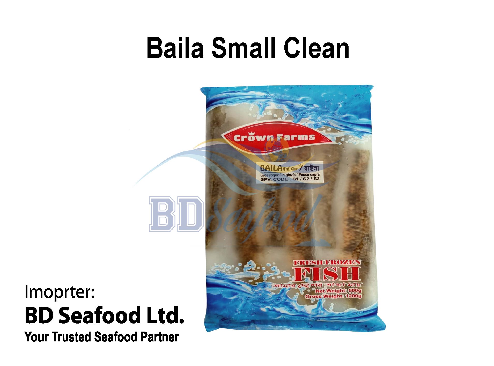 Baila Small Clean_0