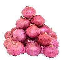 Onion_0