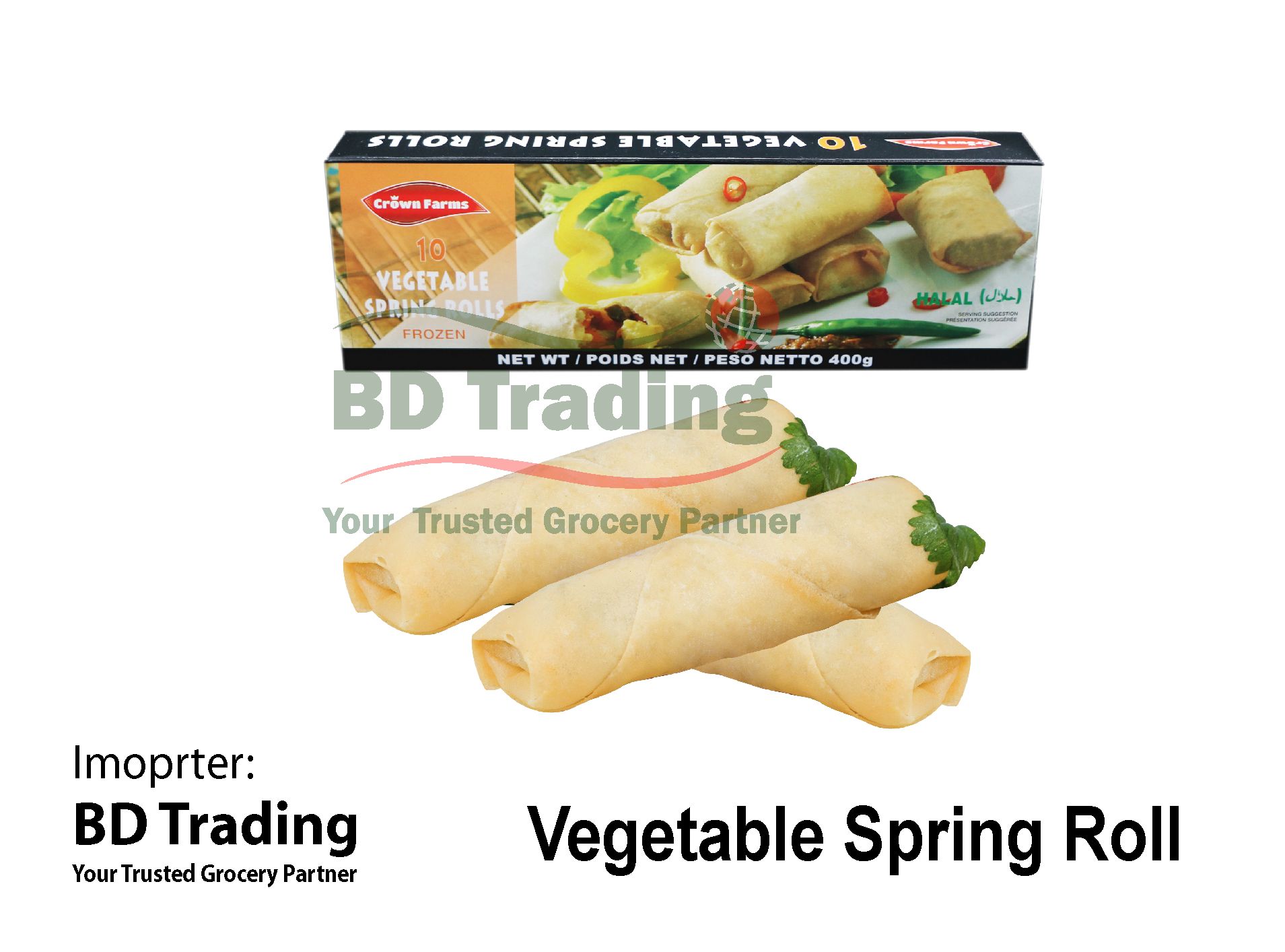 Vegetable Spring Roll_0