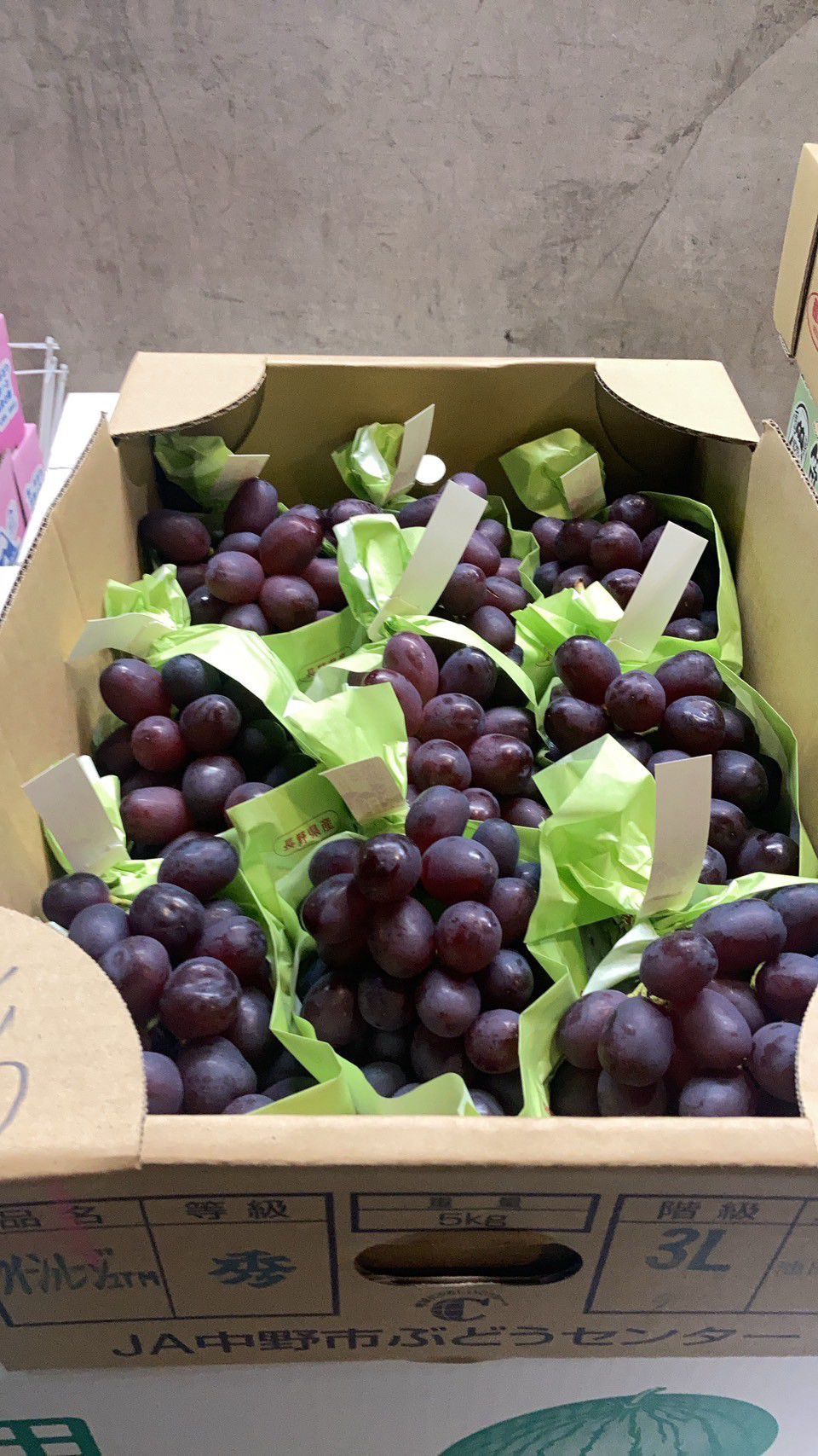長野 Queen Rouge 紅提? 5kg 8-9房 Nagano Queen Rouge Red Grape 