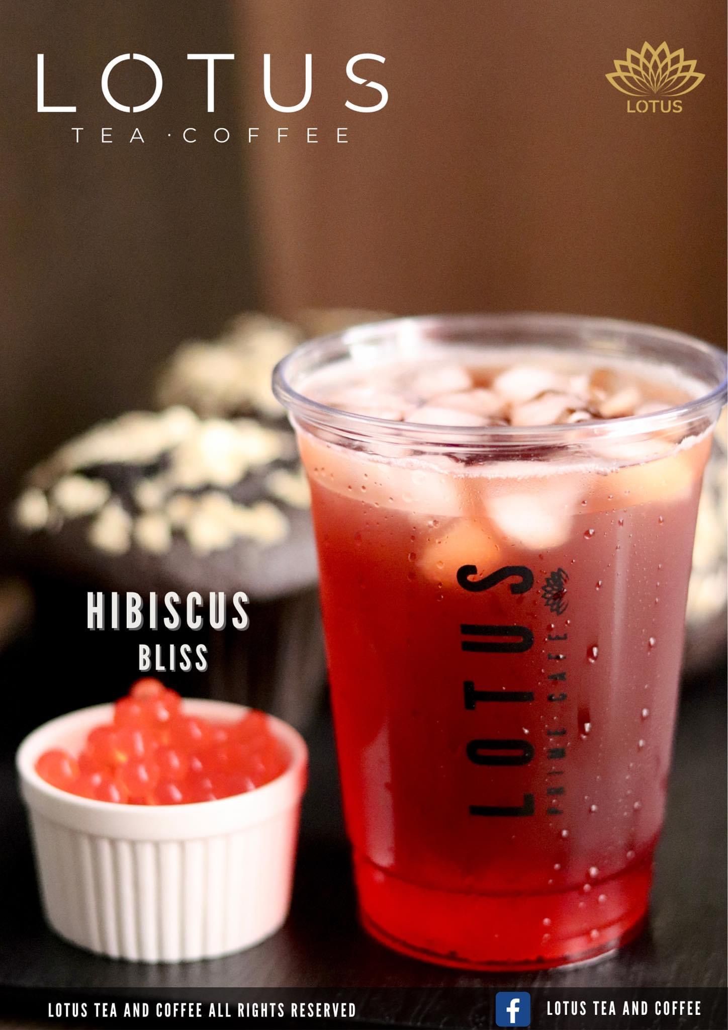 Hibiscus Bliss_0