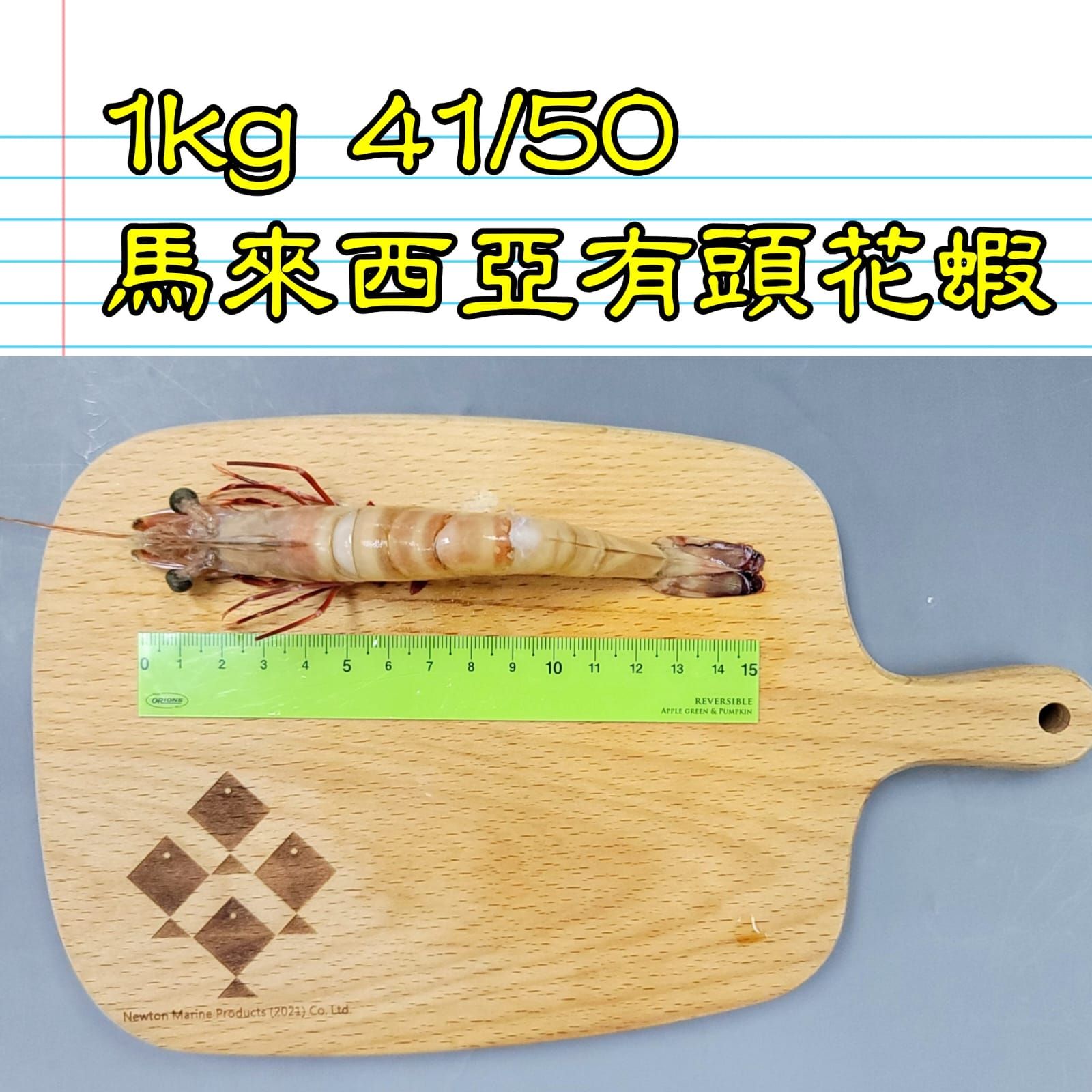 1kg 馬來西亞 有頭花蝦 41-50隻_2