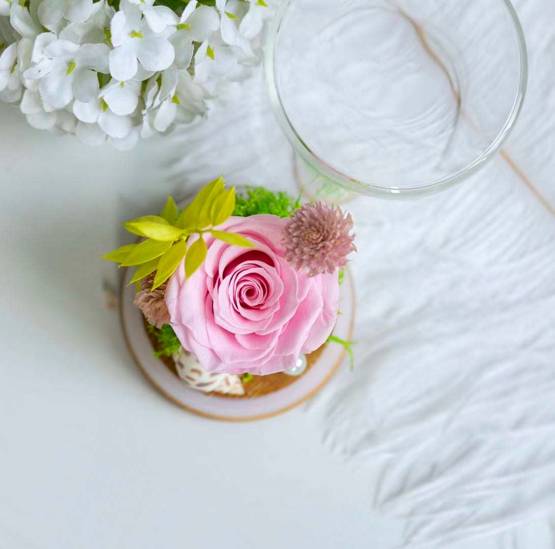 Pink Rose Dome_1
