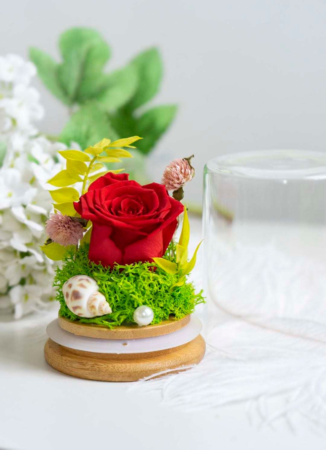  Red Rose Dome_0
