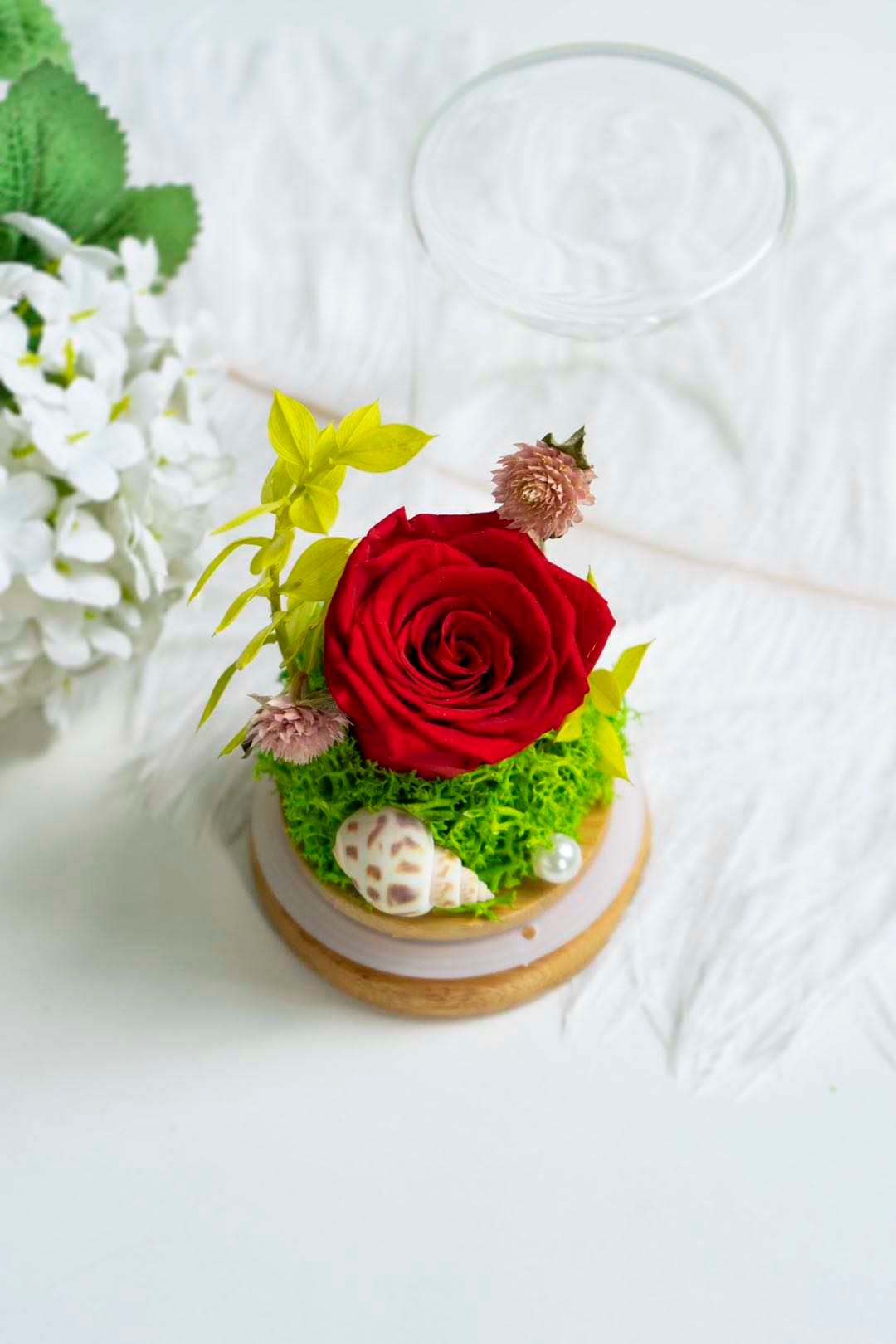  Red Rose Dome_1