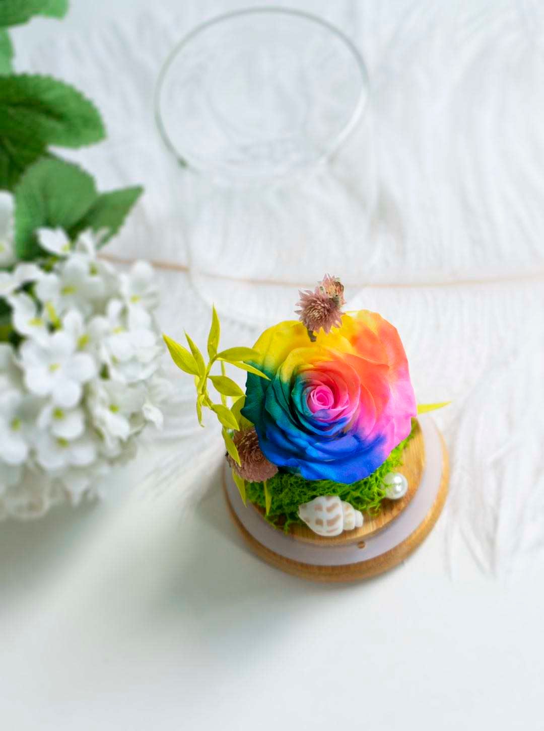 Rainbow Rose Dome_1