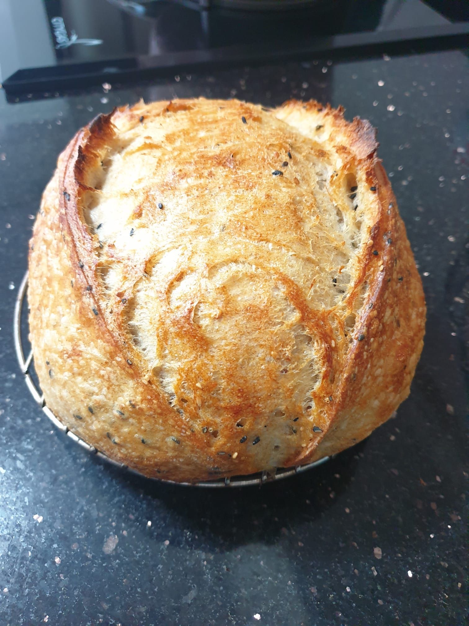 Sourdough Country Loaf_0